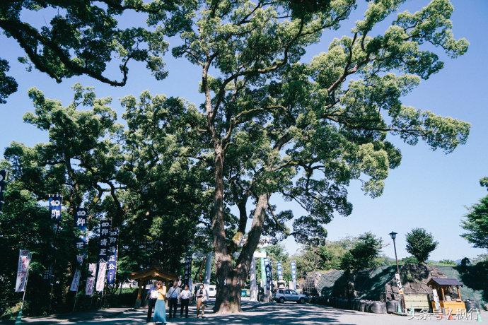 熊本一日游你有哪些攻略,熊本县一日游超全攻略