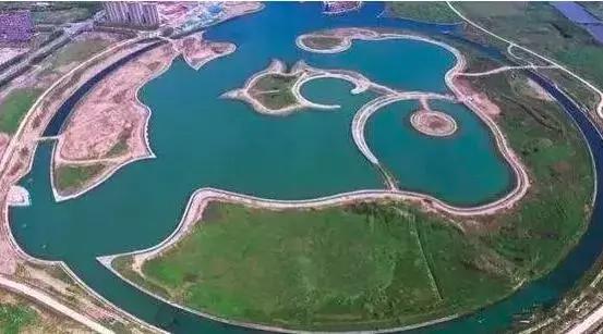 打造700亩湿地公园需要多少钱,国家森林公园奉贤