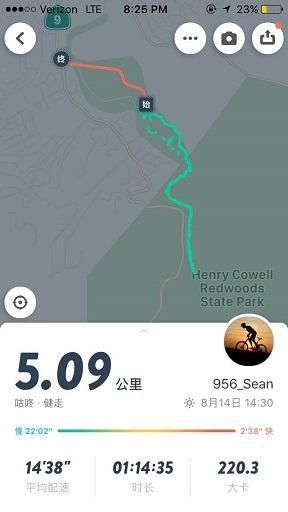 原始森林房车游记,红杉林房车自驾游