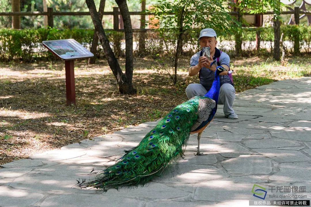 京城十六城,北京旅游攻略拍照景点