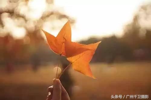 拍照什么时候需要调白平衡和色温,色温与白平衡拍摄技巧