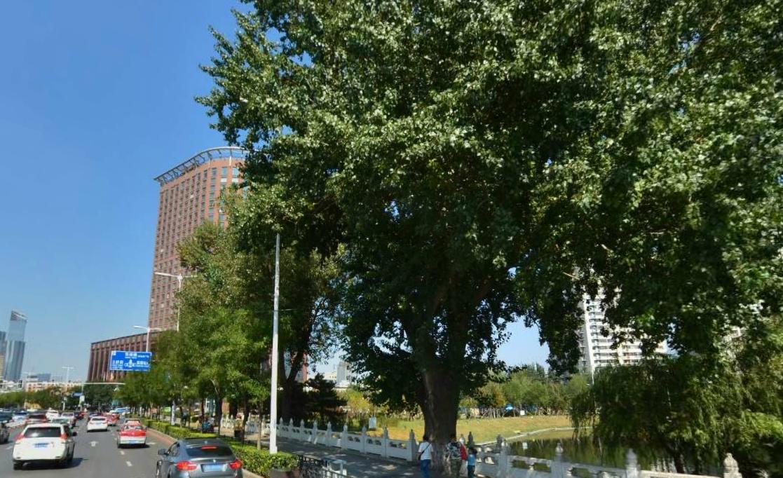 沈阳街景欣赏,中国沈阳市区街景