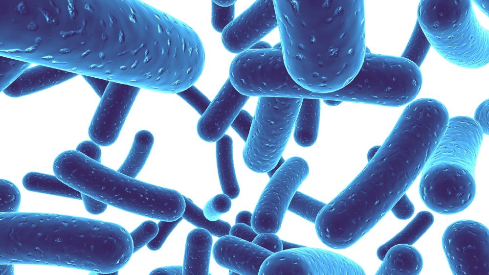 解密益生菌的秘密唐霞,华大益生菌