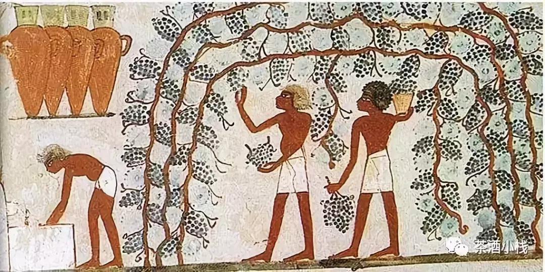 葡萄酒密码解读,葡萄酒的颜色密码你能读懂么