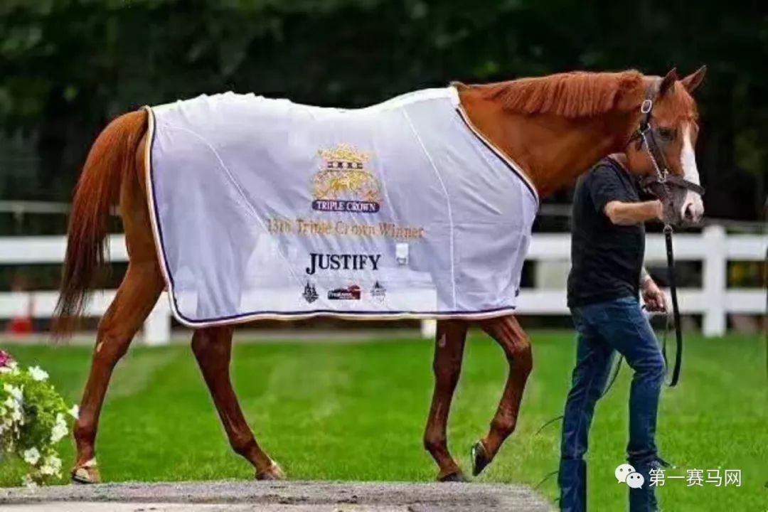 七夕到了单身狗有话要说,七夕快到了单身狗心底的呼唤