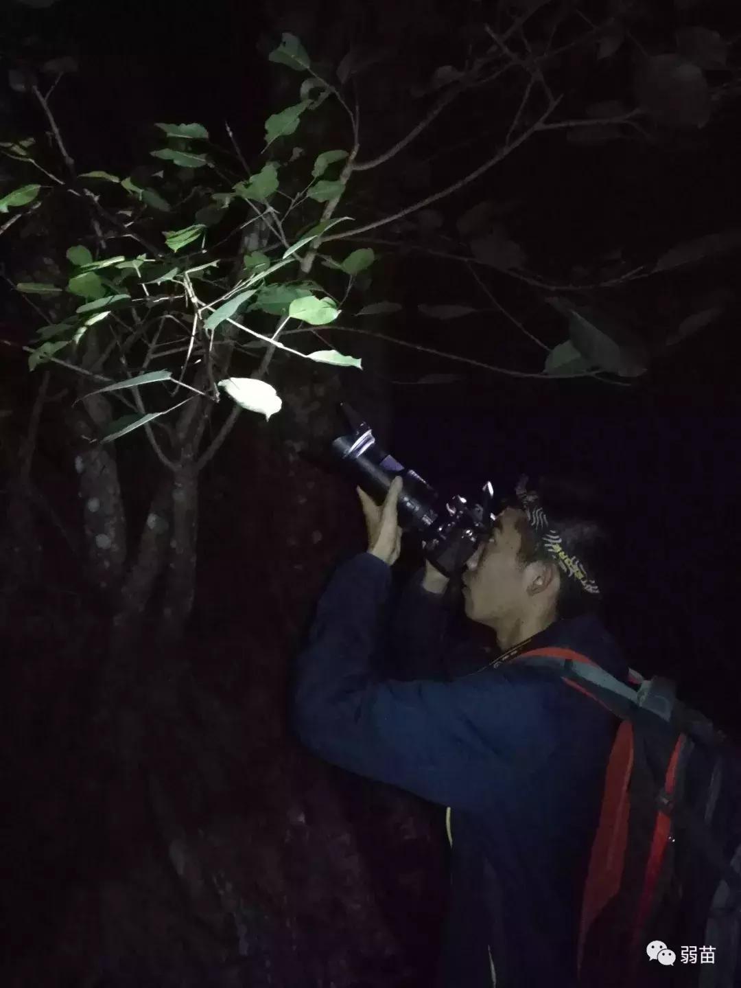 西双版纳四日博物之旅，都有哪些新发现