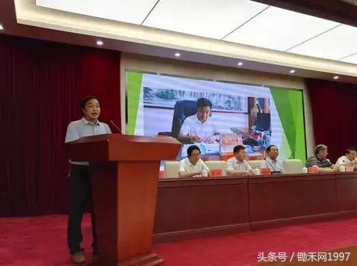 乌金石原石纹理,乌金石渗色