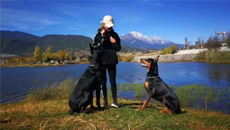 从马来西亚全职太太到丽江单身生活，她生命中的这些感动我