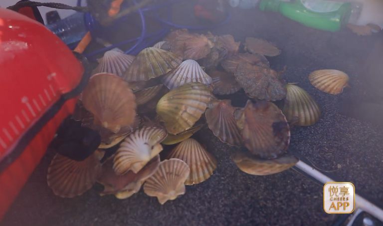 世界最宜居100大城市,悦世界整装