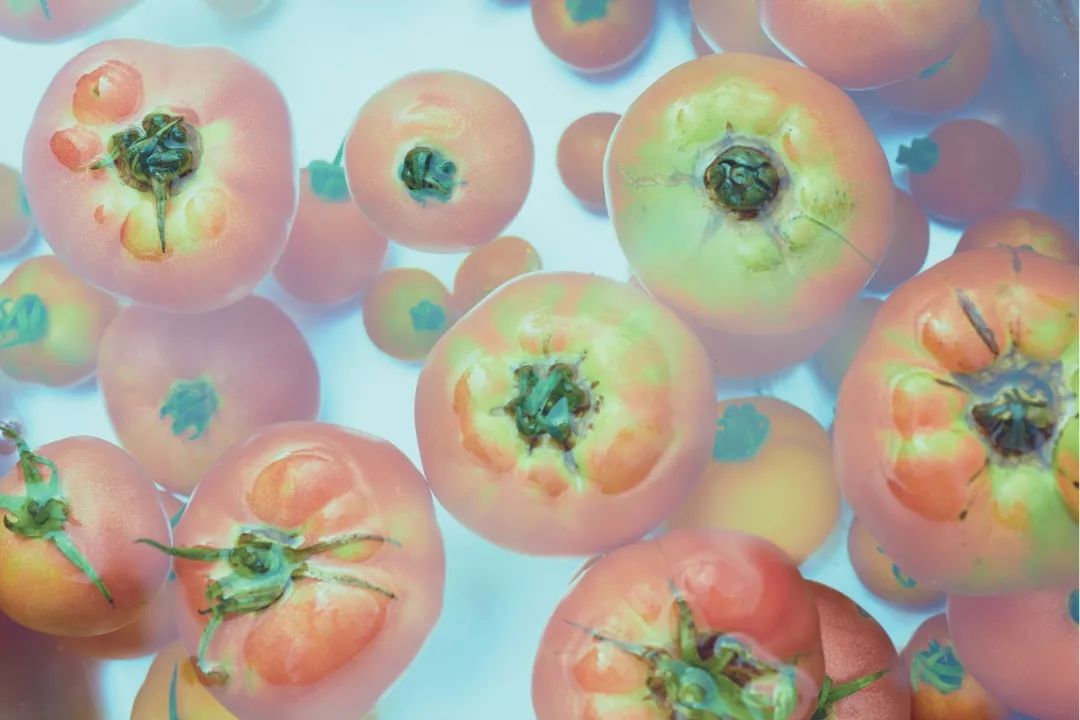 暑假课外阅读推荐悦读整本书,暑假适合孩子看的10部电影