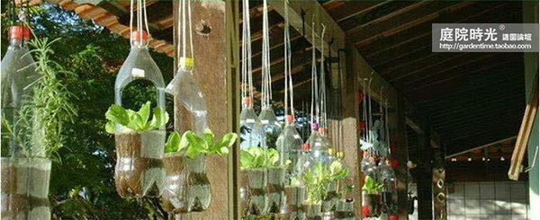 变废为宝自制栽培绿植器皿,塑料瓶创意绿植盆栽旧物利用