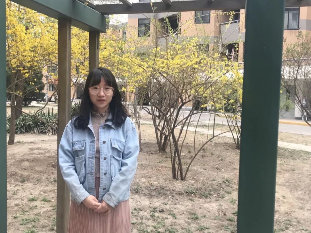 我在清华等你来小说,我在清华等你来书籍