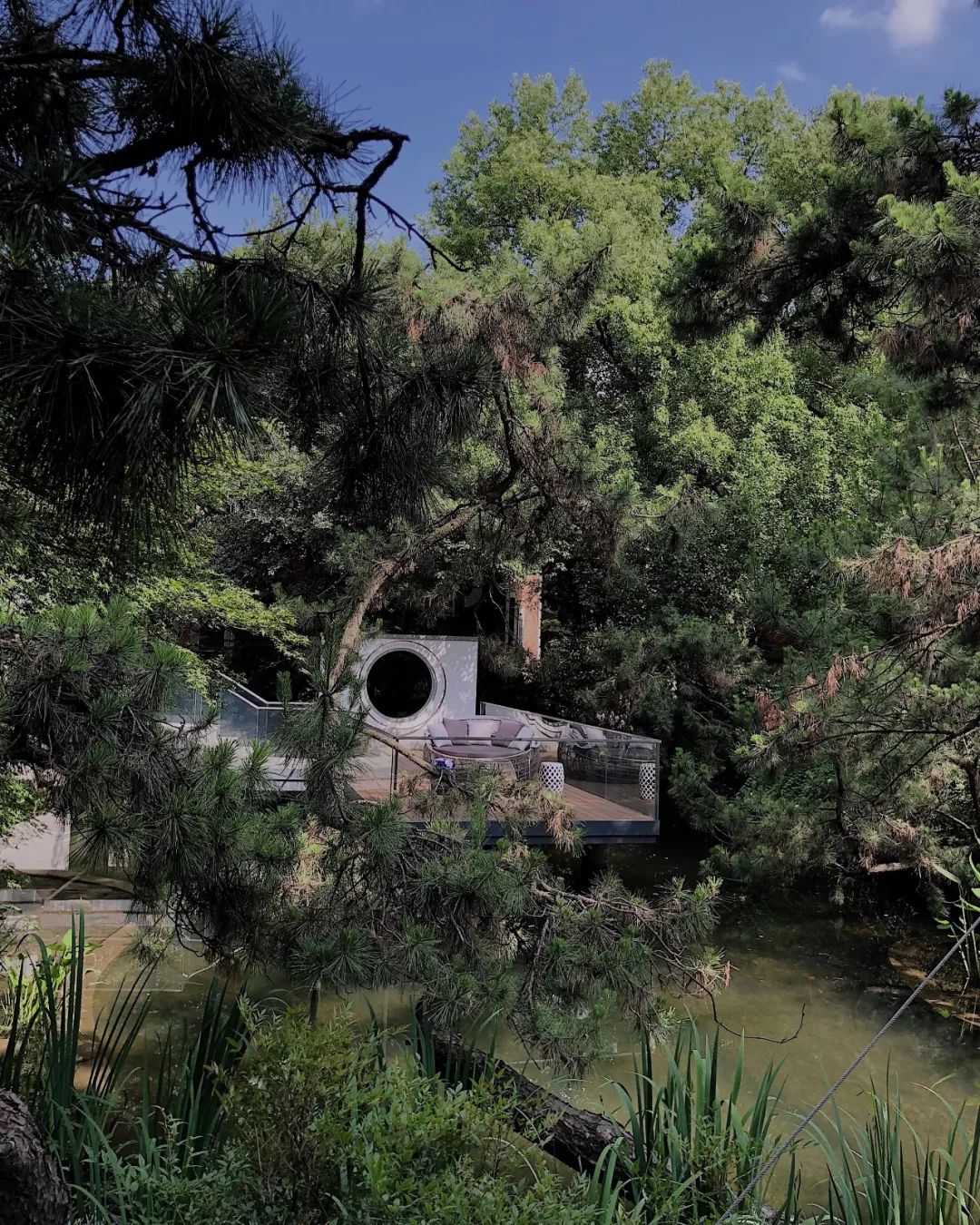 上海十大网红拍照地方,上海有名的摄影博主