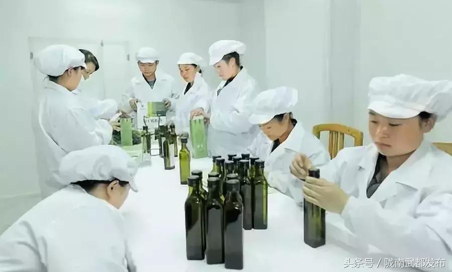 黄金极致养护橄榄油功效,液体黄金橄榄油的101种用法