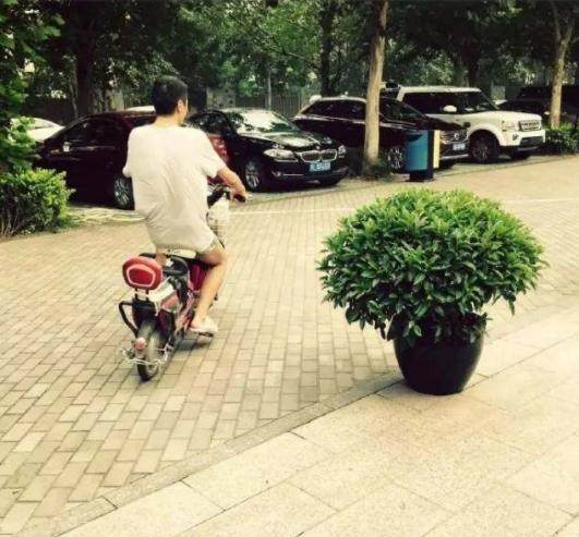 朴树当导师的综艺节目,朴树音乐之路