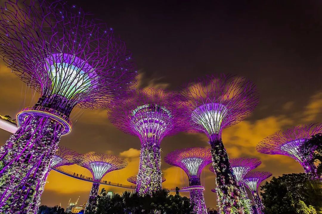 有一种浪漫叫马尔代夫,有一种浪漫叫和你一起去旅行