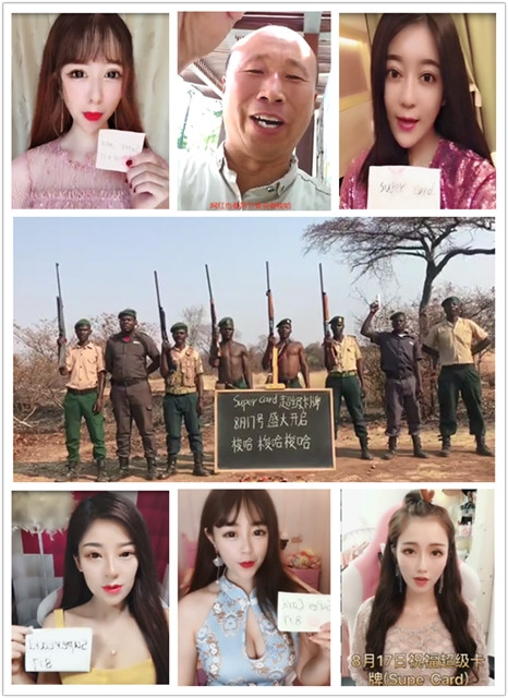 SuperCard火了，区块链从业者凉了？