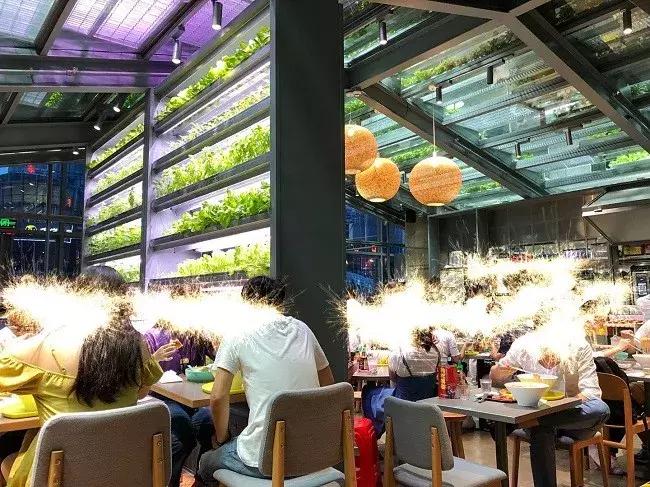 蔡澜开店：2.5小时排队换不来一生难忘的牛肉粉