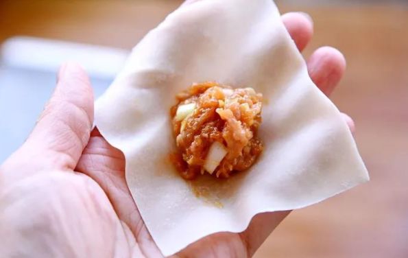 十种最漂亮的云吞包法,云吞包法视频12种包法