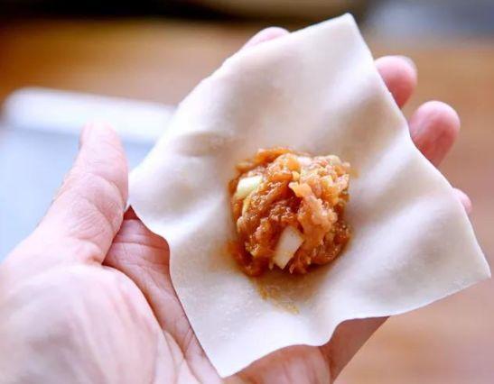 十种最漂亮的云吞包法,云吞包法视频12种包法