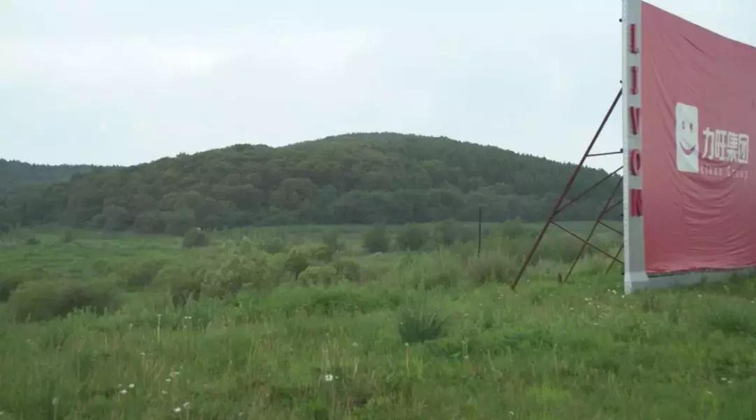 莲花山买房好吗,莲花山旅游度假区适合买房