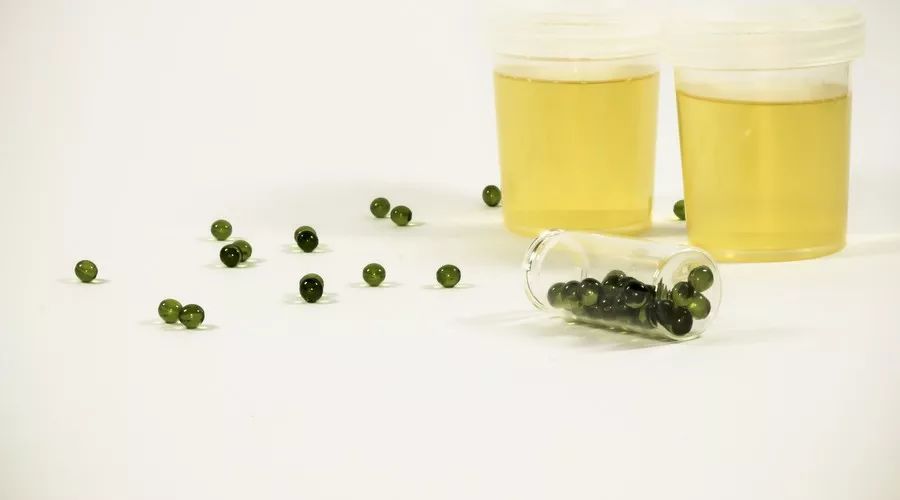 女性更容易尿路感染，只因为“短了”3-5公分？