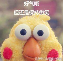 斗鱼鸡排嘉宏万城店,斗鱼鸡排正宗做法