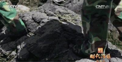 真正的爱就是尊重,真正的爱就是独立自主的人格