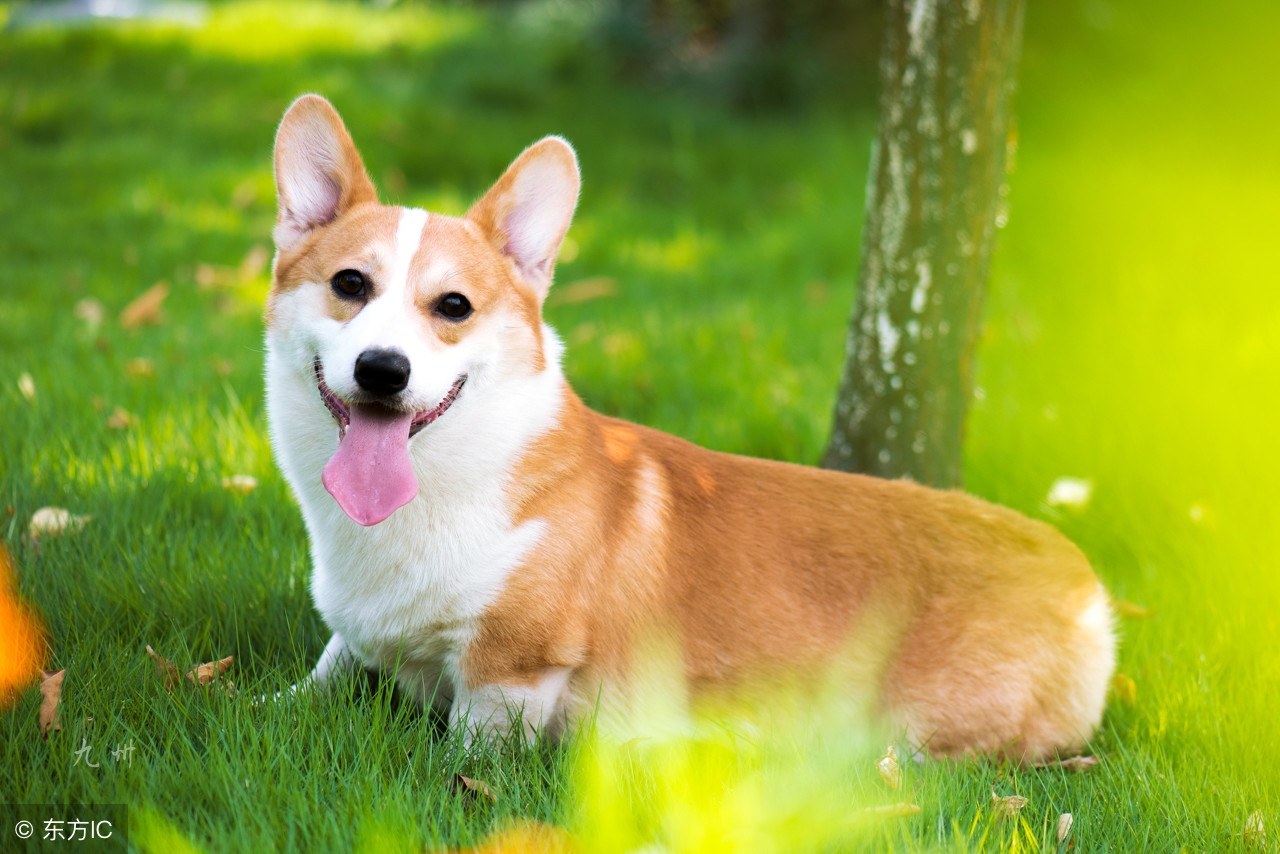 七夕节不知道送什么礼物,七夕节送什么礼物给情人最感动