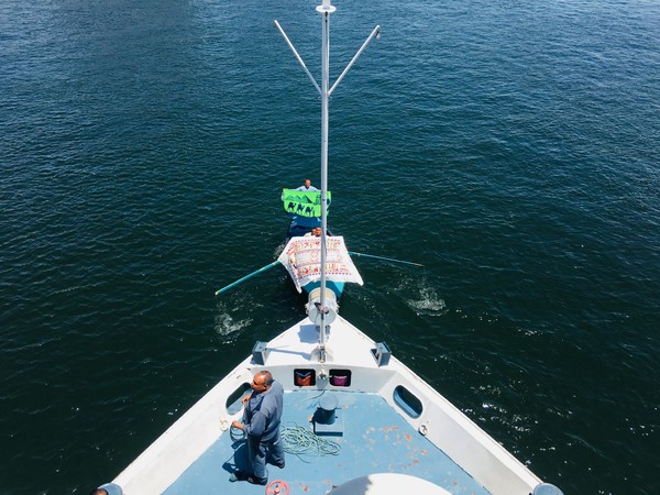 幼年时的梦,年少时的梦原文朗读