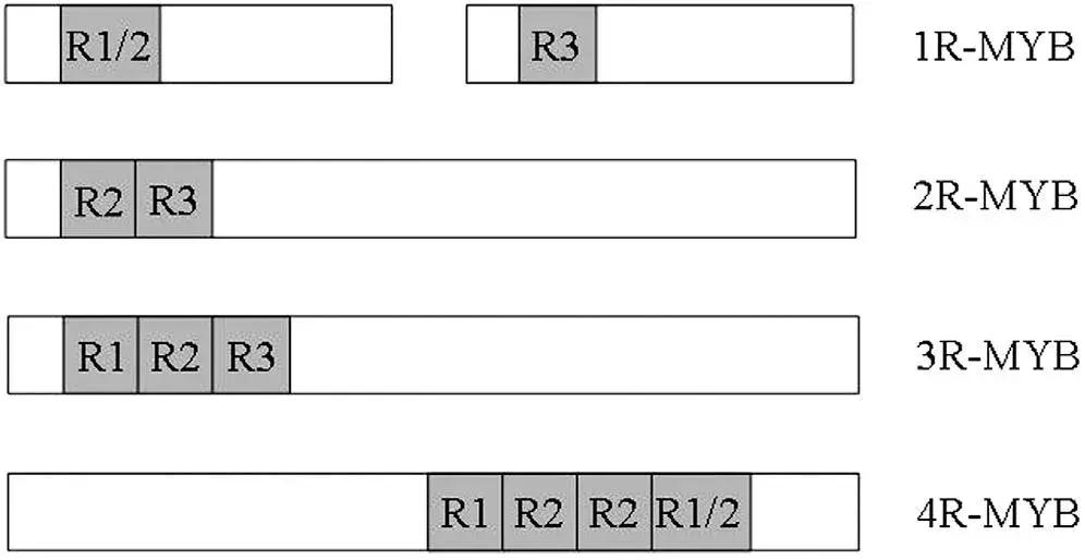 定制七夕礼物送老婆,定制七夕礼物送男友