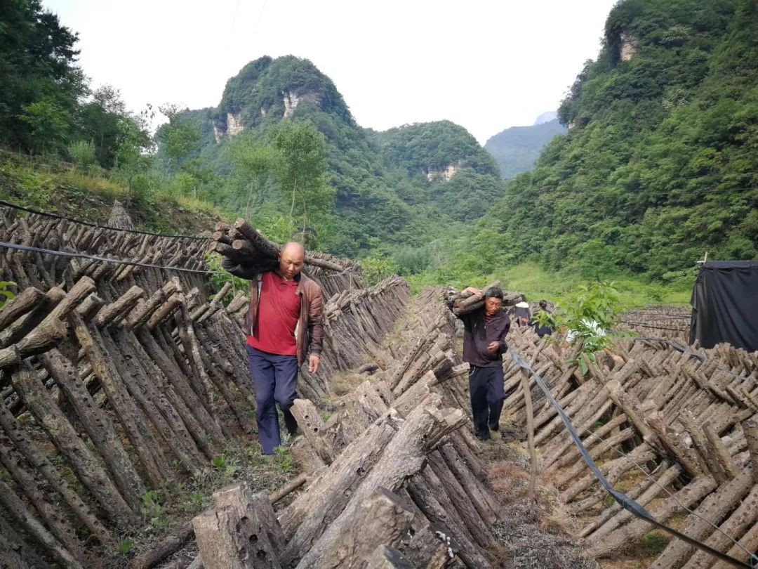 广元旺苍这家超市建成啦，以“德”换物不要钱！