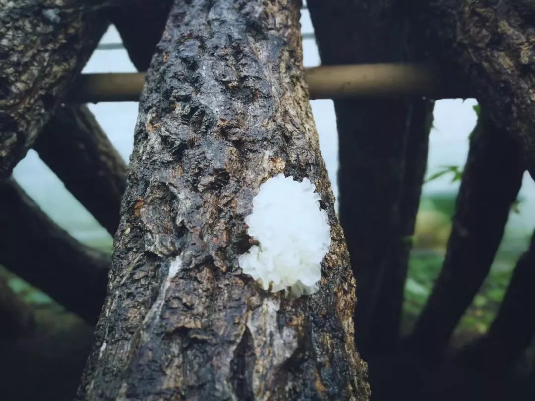 广元旺苍这家超市建成啦，以“德”换物不要钱！