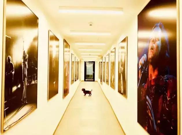 跨界酒店业,跨界主题酒店