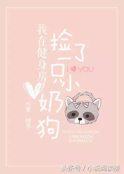 网文各类型爽文,网文新人十大坑