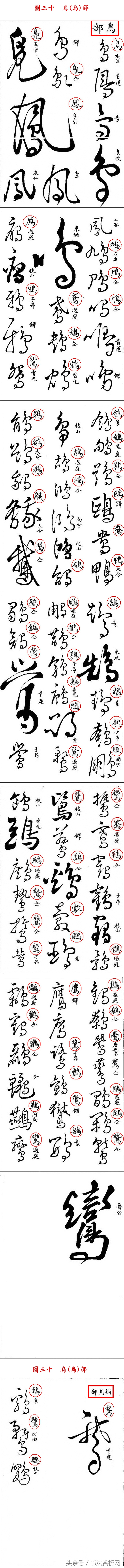 书法欣赏草书名家作品赏析,历代草书名家草体总汇之六