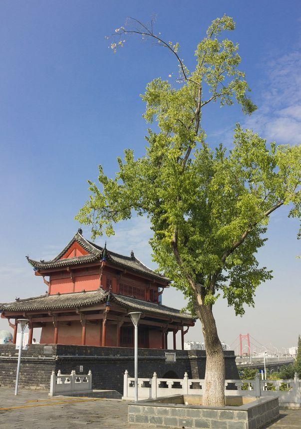 武汉一日游必去十大免费景点,武汉周边免费一日游自驾哪里好玩