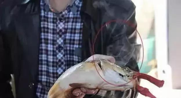 乐山话里竟藏着“有味道”的小秘密！知道的人越来越少了！