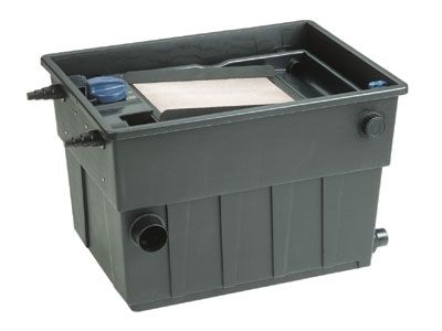 新手鱼池养锦鲤的技巧和方法,锦鲤鱼池养护管理方案及流程图片