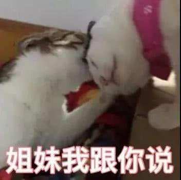 广州便宜又好看的批发市场,广州年前批发市场买衣服地方推荐