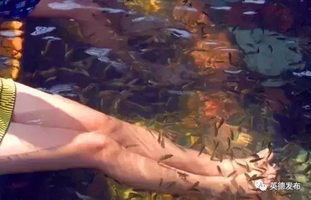 温泉水滑洗凝脂什么意思,温泉水滑洗凝脂上一句是什么