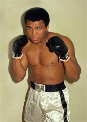 美国最强壮篮球队员,美国最强壮的明星