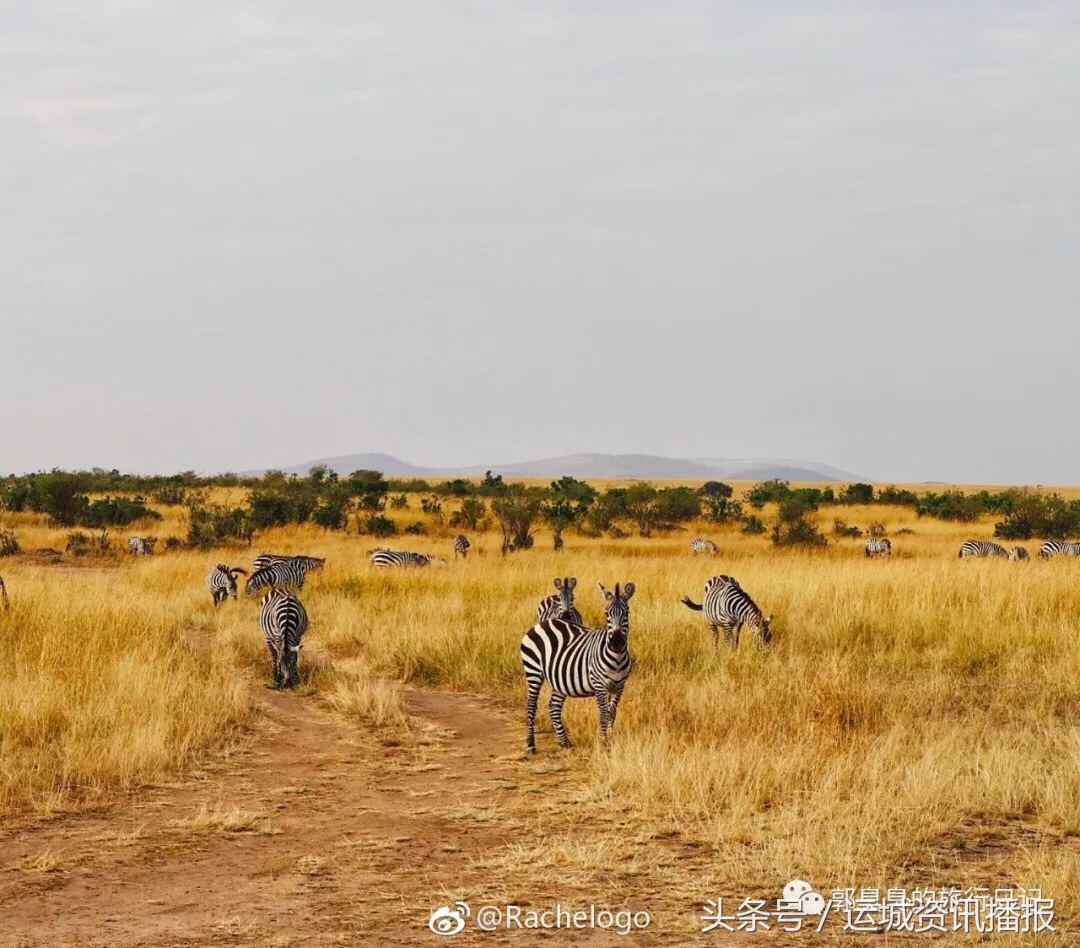 20岁的运城姑娘是如何走遍世界的