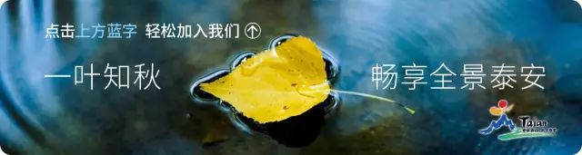 泰山登山证能去哪些地方免费,爬泰山什么证件可以免费