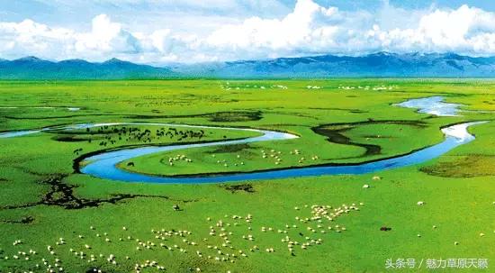 一座去了不想走的城市成都,一座去了还想去的城