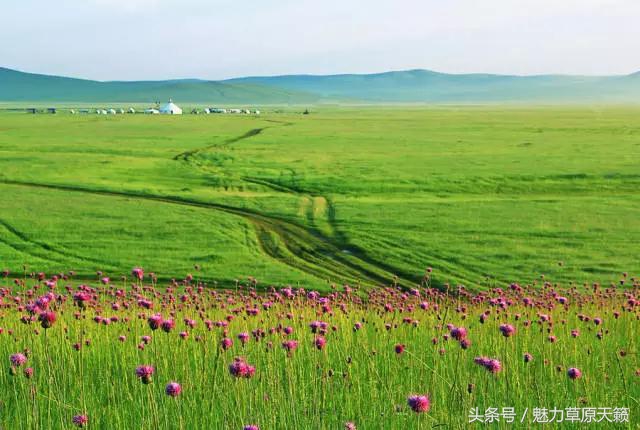 一座去了不想走的城市成都,一座去了还想去的城