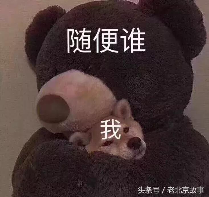 在北京生活真的很难,在北京生活多不容易呀