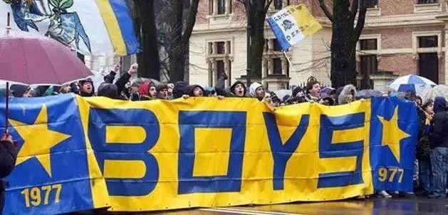 浴火重生之火凤凰,浴火重生