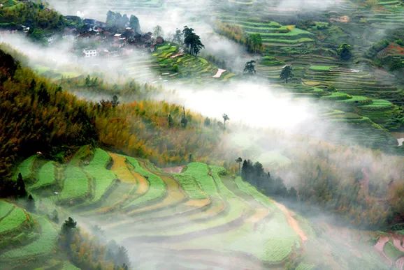 丽水遂昌市区,在丽水的遂昌