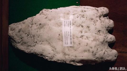 喜马拉雅山怪物雪人真的存在吗,雪人怪物真实存在吗